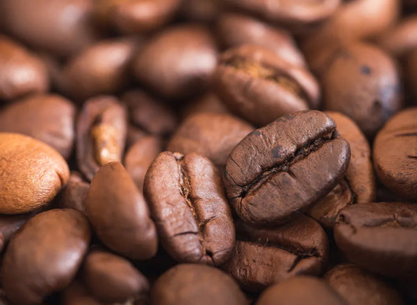 Cafe Organico en Grano 250gr